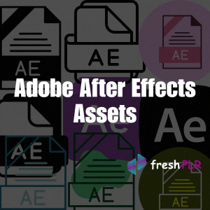 Adobe After Effects Assets